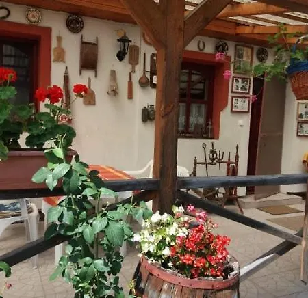 Gabor Vendeghaz Guest house *